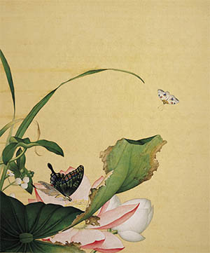郎世宁 《荷花慈姑花》