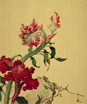郎世宁 《鸡冠花》