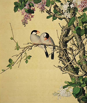 郎世宁  《紫白丁香》