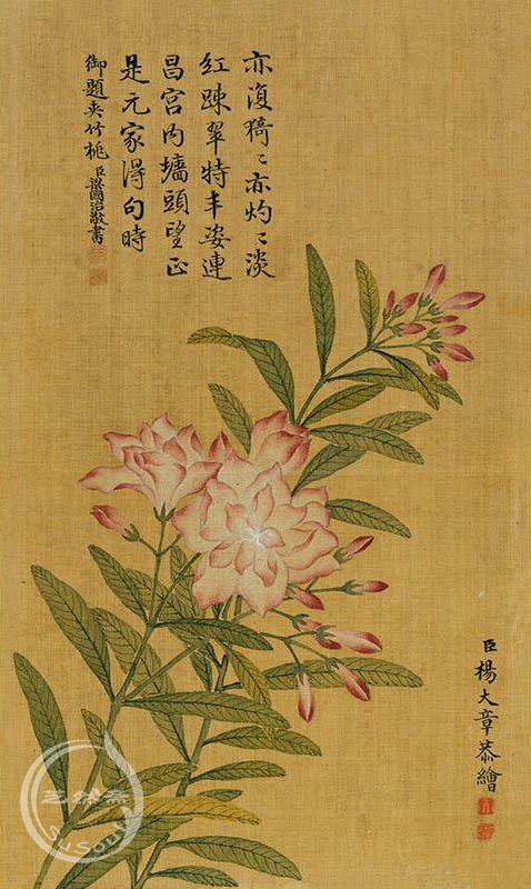 杨大章 《花卉》册页四帧