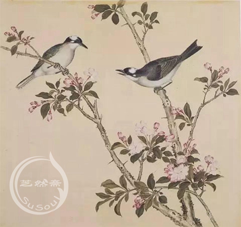 余省 《鸟谱- 白头翁》