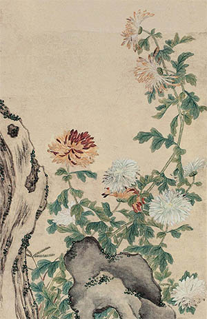 汪承霈 《菊石图》