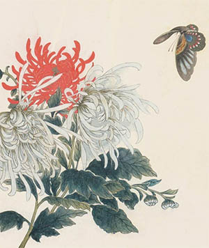 邹一桂 《菊蝶图》