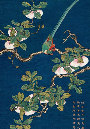 邹一桂 《苹果珍禽图》