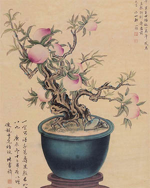 邹一桂 《一食可得千年寿》