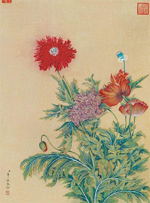 邹一桂 《罂粟花》
