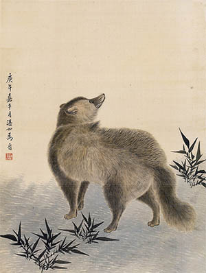 马晋 《狐狸》