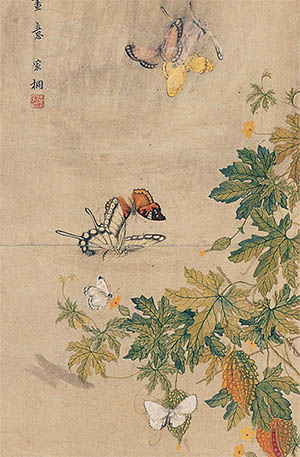 马家桐 《蝴蝶赖葡萄》