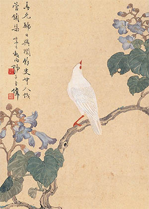 王师子 《桐花白八哥》