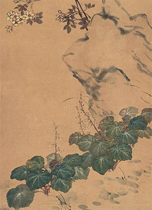 王师子 《秋海棠》