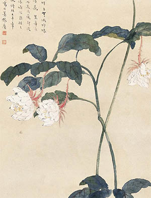 王师子 《昙花》