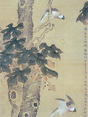 王师子 《梧桐蜡嘴雀》