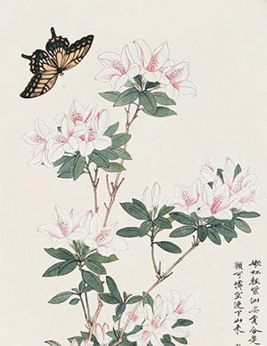 于非闇 《杜鹃花蛱蝶图》