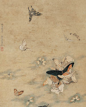 恽冰 《蛱蝶》
