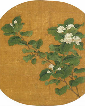 赵昌 《茉莉花》