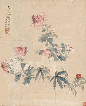 恽冰 《仿徐崇嗣菊花》