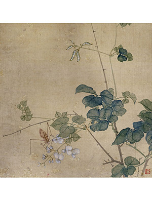 居巢 《豆花螽斯》