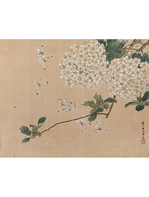 居廉 《绣球花粉蝶图》