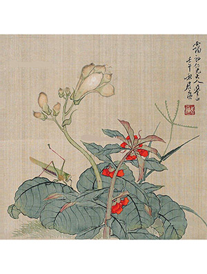 居廉 《秋海棠蚱蜢图》