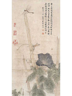 张若澄 《牵牛花蜻蜓》