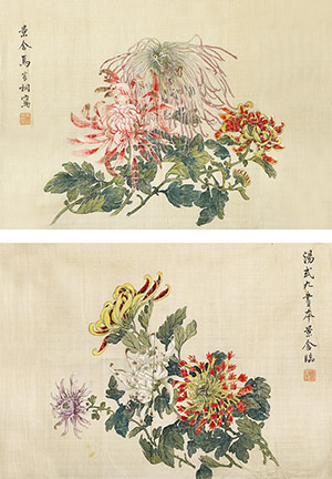 马家桐 《折枝菊花》册页二帧