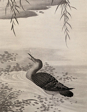 胡湄 《鸬鹚》