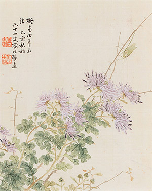 容祖椿 《紫菊》