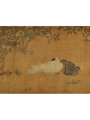 钱选 《芙蓉斑鸠图》卷