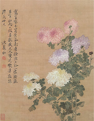 马元驭 《菊花写生图》