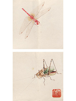 齐白石 《虫册》六帧
