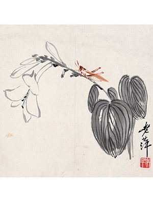齐白石 《玉簪花蚱蜢》