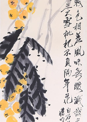 齐白石 《枇杷不负隔年花》
