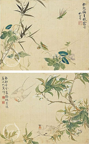 沈焯 《花鸟虫册》四帧