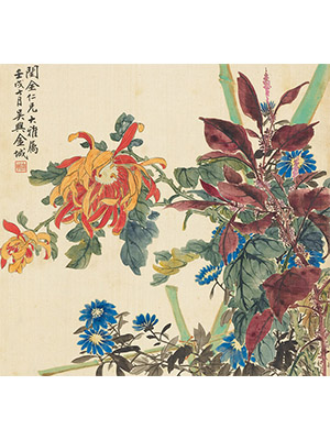 金城 《菊寿》