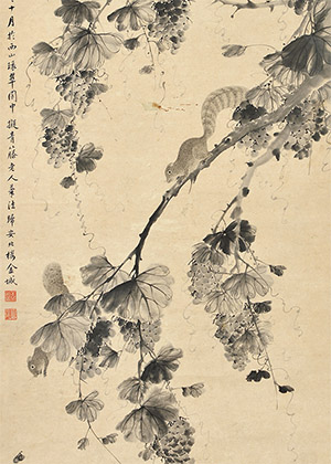 金城 《松鼠葡萄》