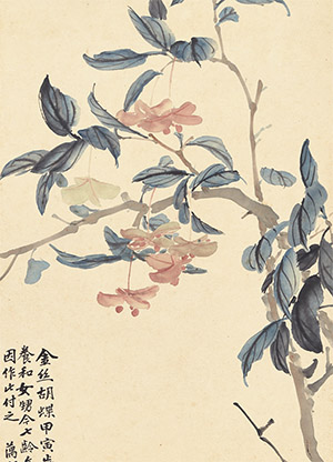 金城 《金丝蝴蝶》