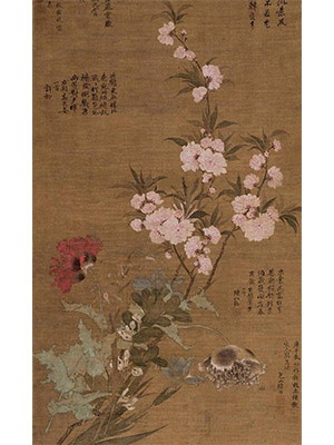 陆治 《折枝桃花罂粟》