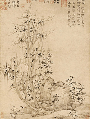 倪瓒 《筠石乔柯》