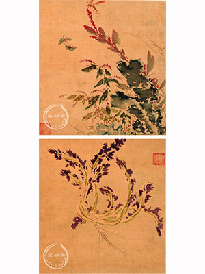 孙隆 《花鸟虫草》册十二帧