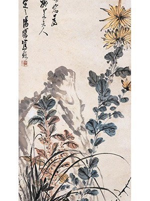汤涤  《菊石图》