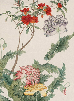 汤世澍 《罂粟山茶》
