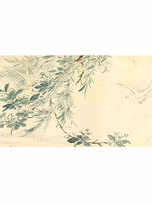 王榖祥 《白燕图》卷