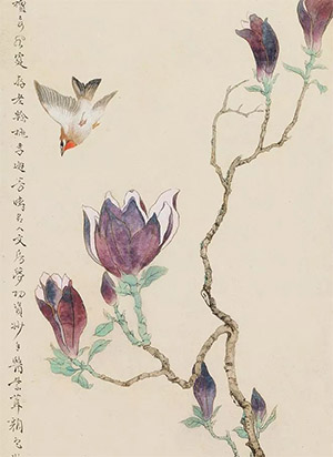 王师子 《玉兰邂芳晴》