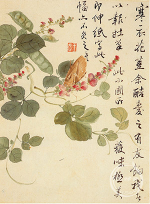 王武 《豆荚螽斯》