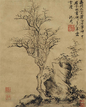 沈周 《木石图》
