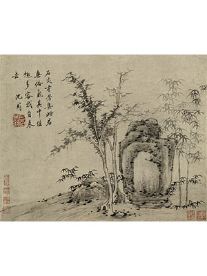 沈周 《石竹图》