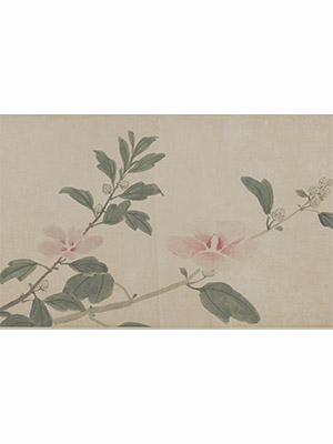 沈周 《四季花卉》长卷
