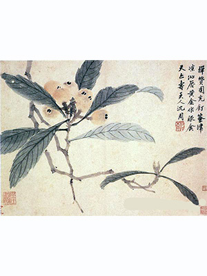 沈周 《蜜蜂凉沁唇》