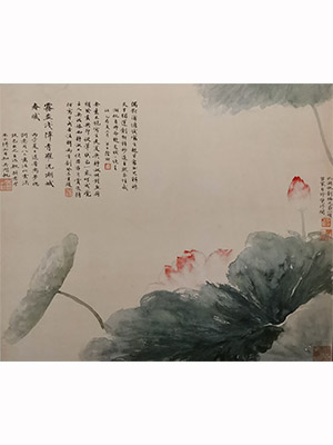 吴湖帆 《荷花》