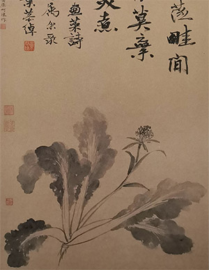吴湖帆 《青菜》